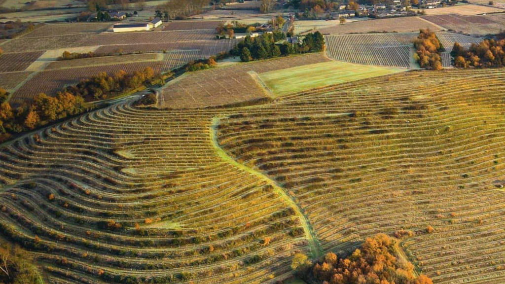domaine des quarres