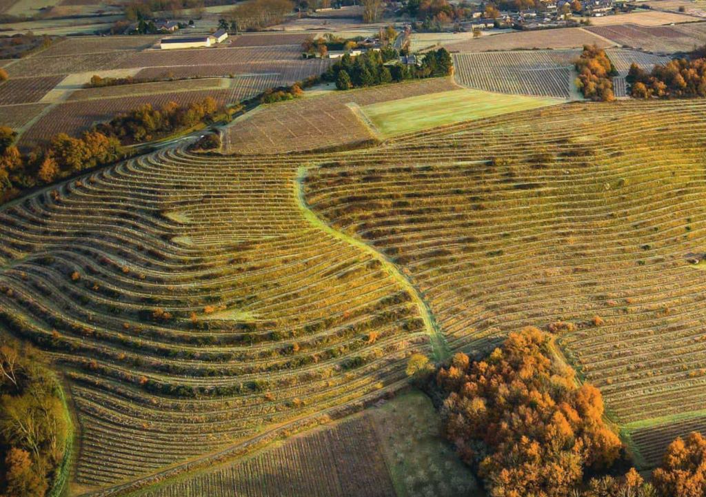 vignoble coteaux du layon