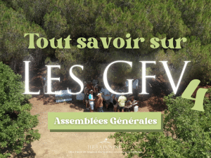 GFV 4 - AG