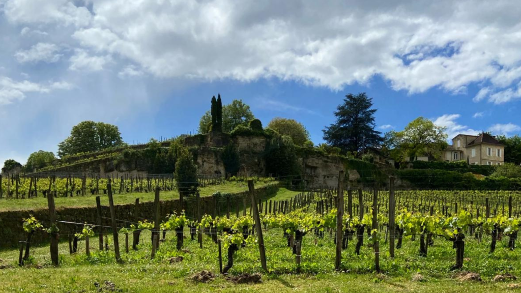saint emilion