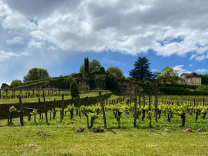saint emilion