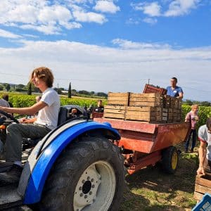 vendanges lumian bonnefoy