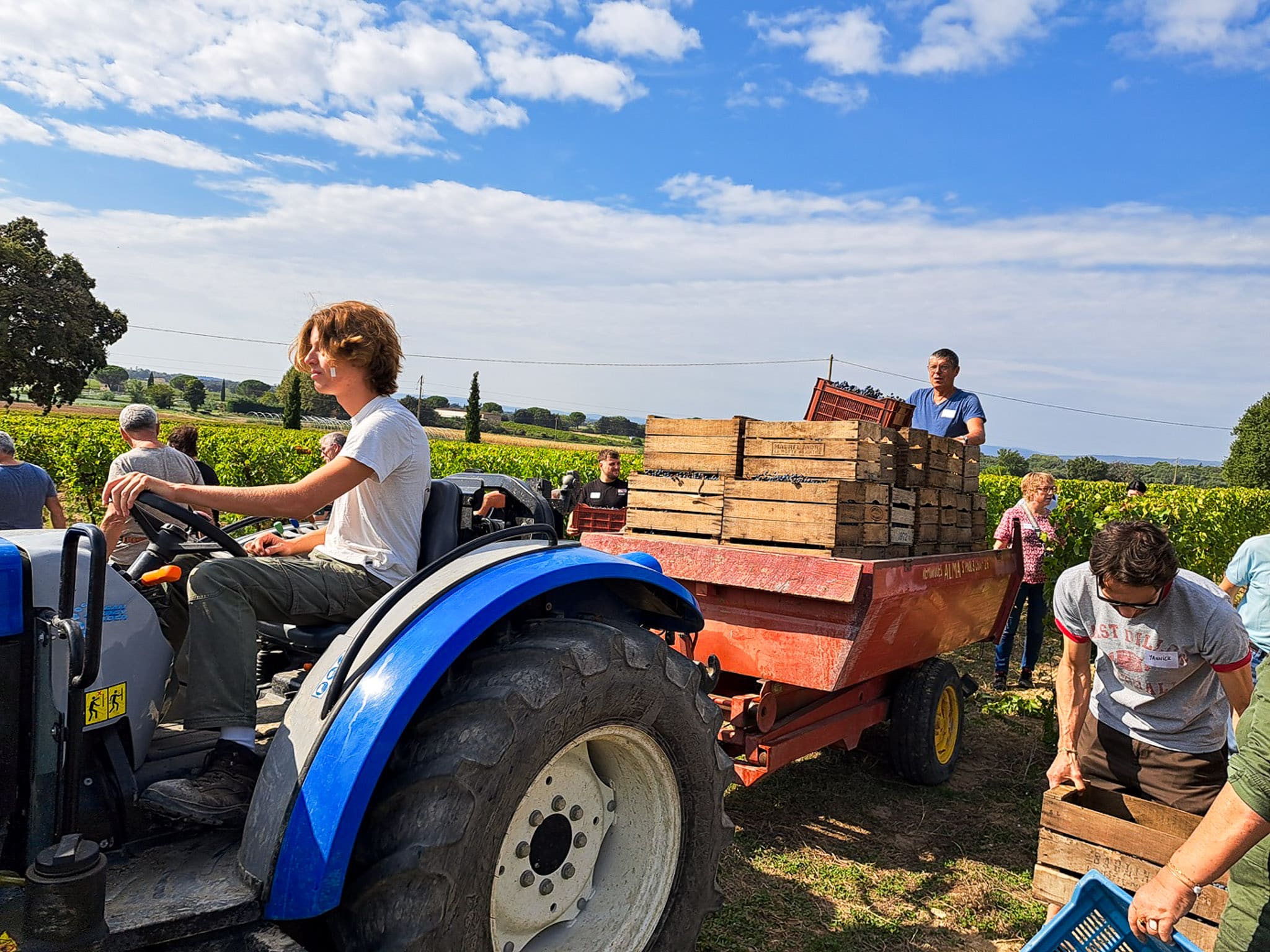 vendanges lumian bonnefoy