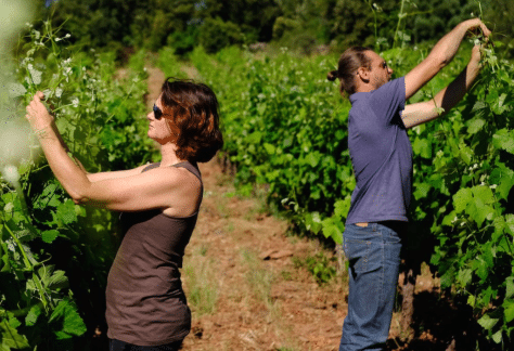 clos rouge