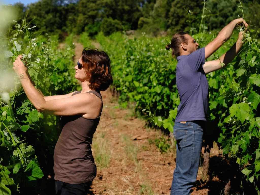 clos rouge