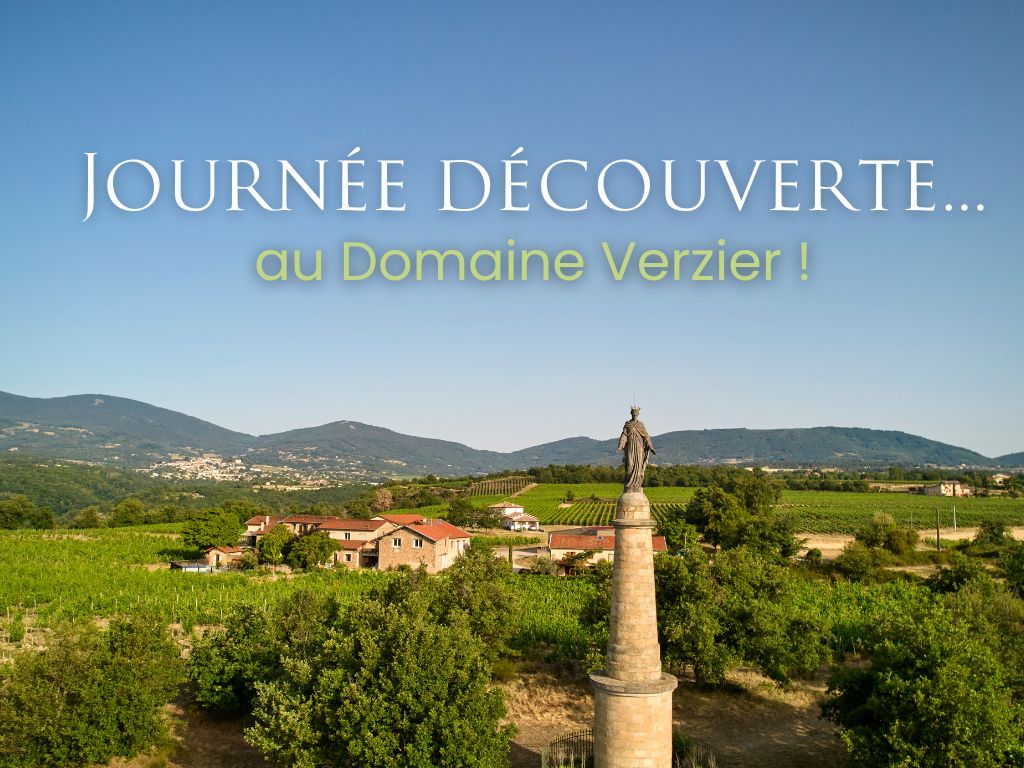 Domaine Verzier événement