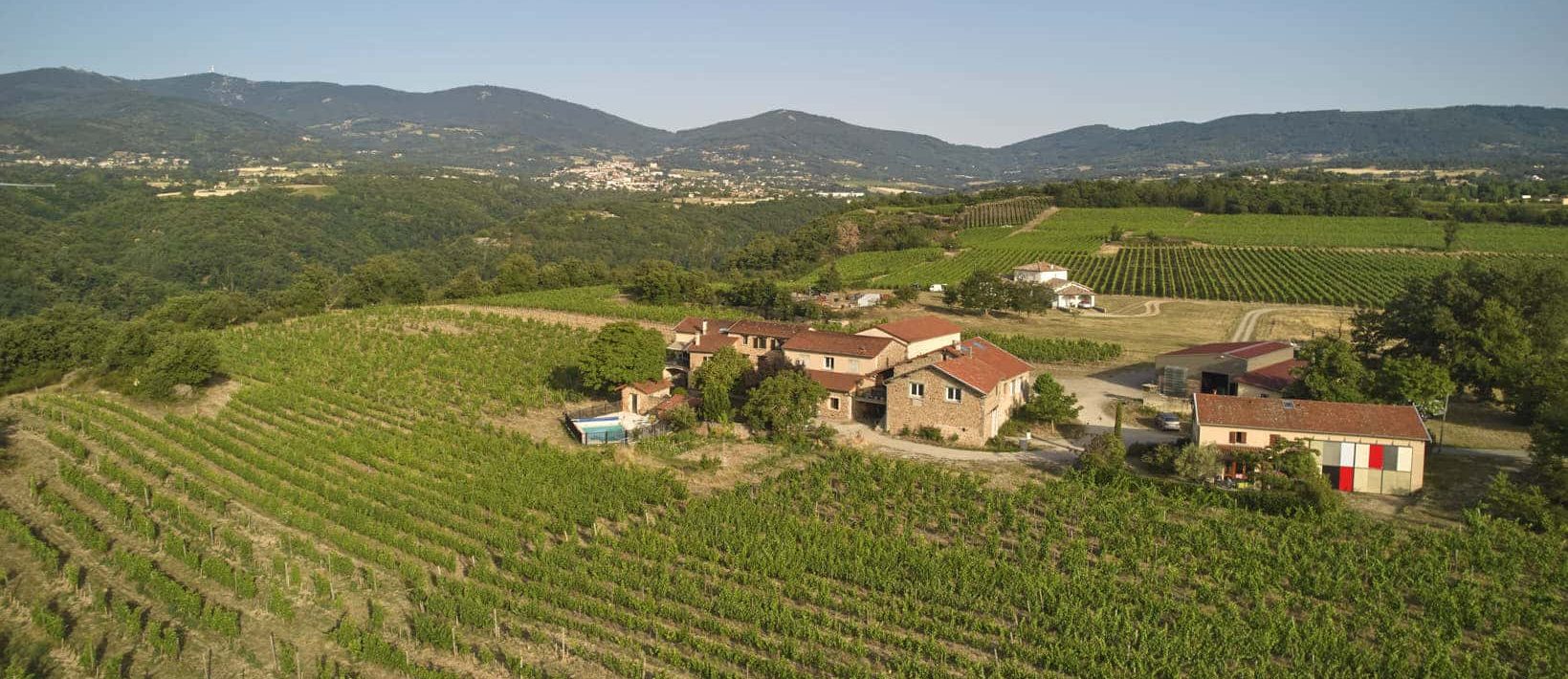 vignoble verzier paysage rhone 3