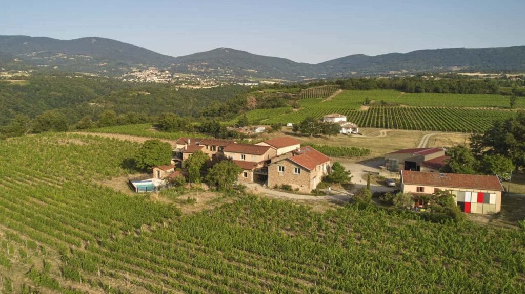 vignoble verzier paysage rhone 3