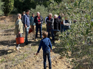 domaine l'hermas