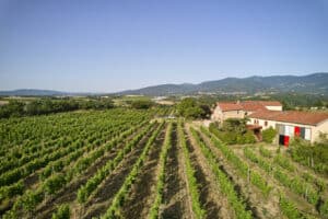 vignobles verzier domaine