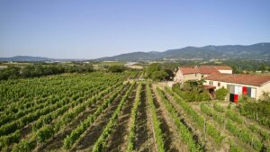 vignobles verzier domaine