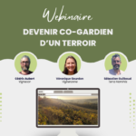 webinaire domaine des quarres