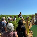 Domaine Cammaous et Caussarelle assemblée générale 2026