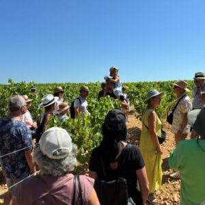 Domaine Cammaous et Caussarelle assemblée générale 2026