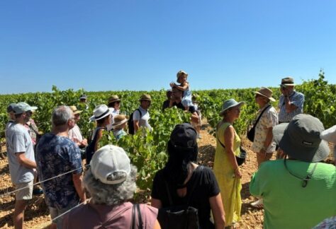 Domaine Cammaous et Caussarelle assemblée générale 2026