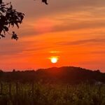 Guinguette Sunset - Grand jour