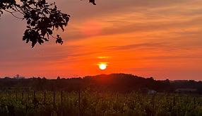 Guinguette Sunset - Grand jour