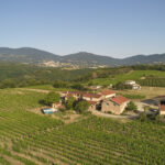 vignobles verzier