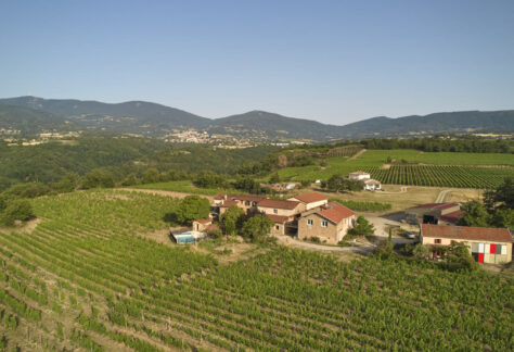 vignobles verzier