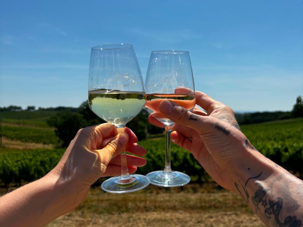 verre de vin soleil vigne puech roques assemblée générale 2026