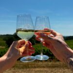 verre de vin soleil vigne puech roques assemblée générale 2026