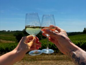 verre de vin soleil vigne puech roques assemblée générale 2026