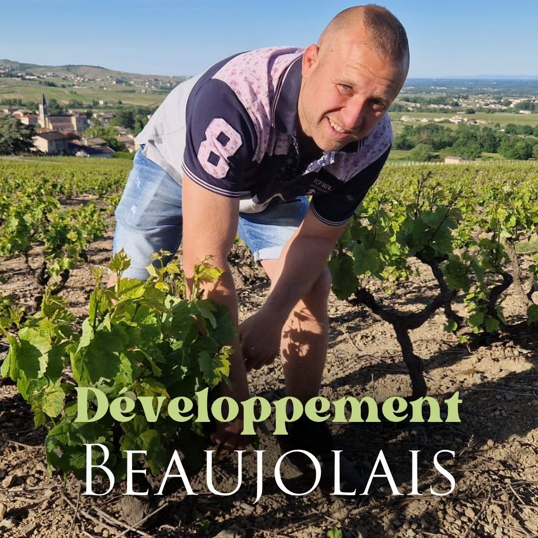domaine romaric aufranc gfv développement