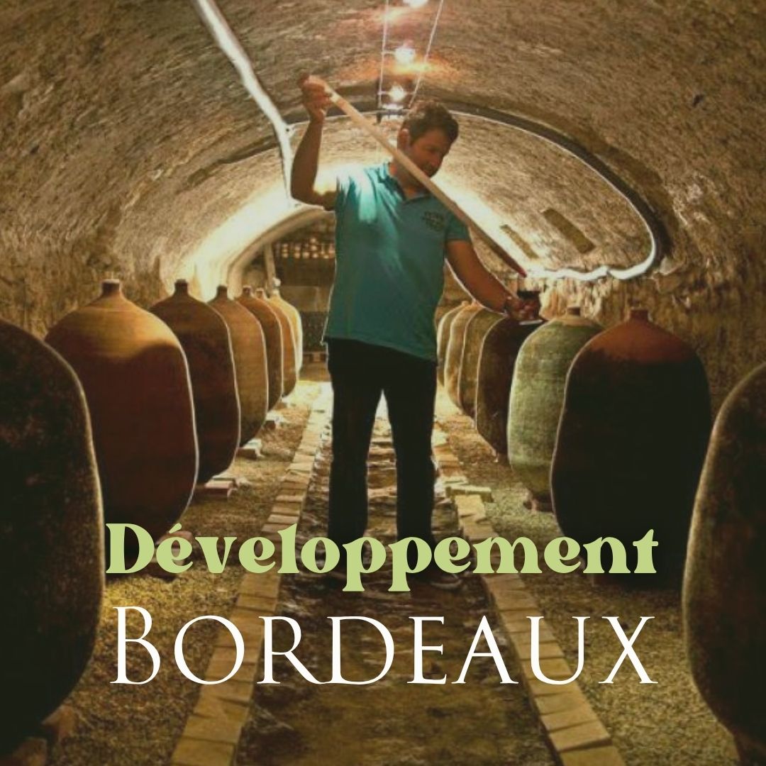 philippe caroline château jaron bordeaux supérieur gfv développement