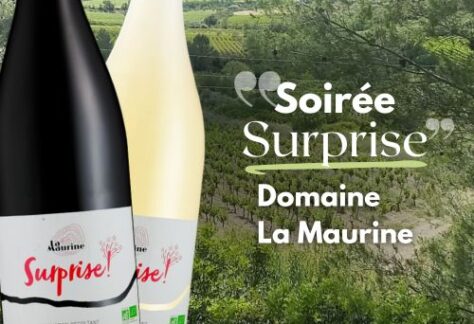 soirée surprise domaine la maurine