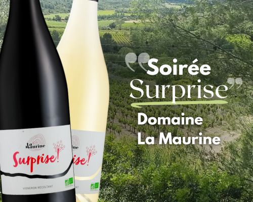 soirée surprise domaine la maurine