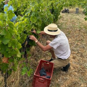 Assemblée Générale & Week-end des vendanges 2026