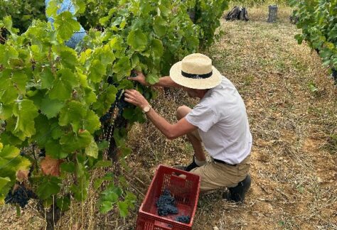 Assemblée Générale & Week-end des vendanges 2026