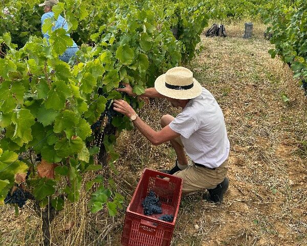 Assemblée Générale & Week-end des vendanges 2026