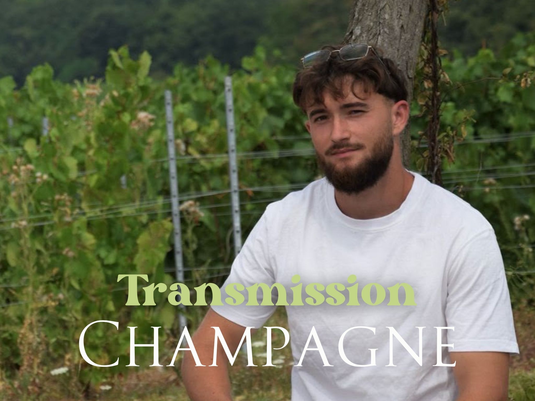 projet en cours champagne closquinet