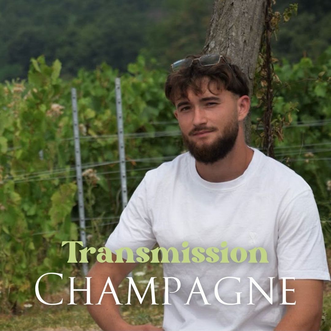 projet en cours champagne closquinet