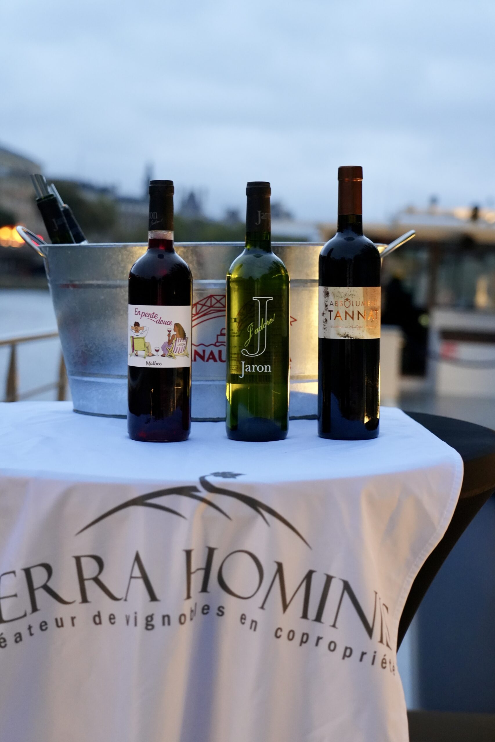 Croisière parisienne sur la seine terra hominis