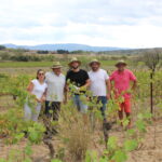 Domaine du Siestou
