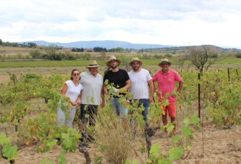 Domaine du Siestou