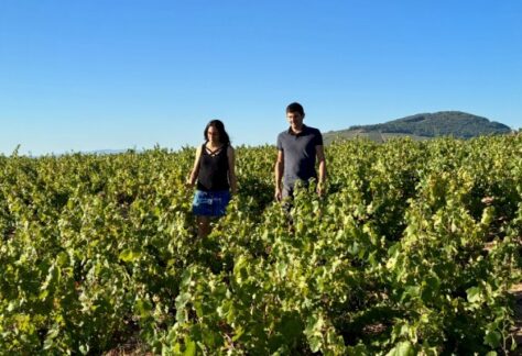 domaine des braves - portes ouvertes 2026