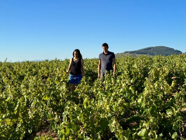 domaine des braves - portes ouvertes 2026