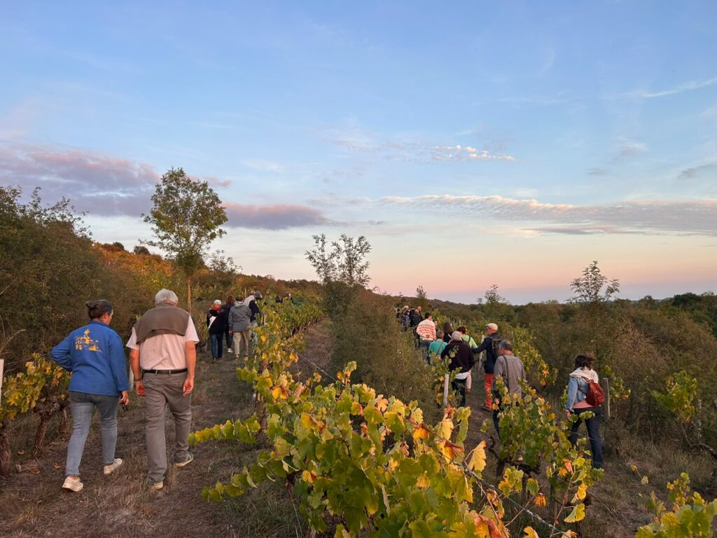 domaine des quarres nuit de la pleine lune 2026